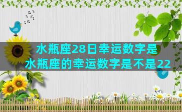 水瓶座28日幸运数字是 水瓶座的幸运数字是不是22